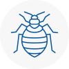 Bed Bug Extermination In Millom