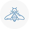 Bee Nest Removal Millom