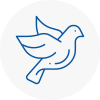Bird Prevention Millom