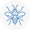 Millom Hornet Nest Removals