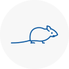 Mice Exterminators In Millom