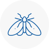 Moth Control Specialists In Millom