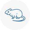 Rat Control Millom
