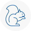 Millom Rodent Removals