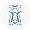 Millom Wasp Nest Removal